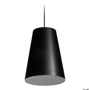 FBT 2-way black pendant loudspeaker