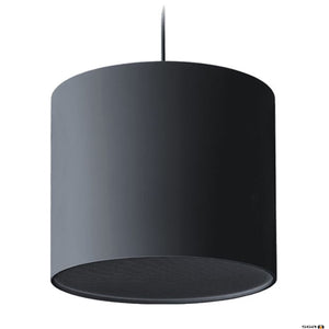 FBT 8" black pendant subwoofer